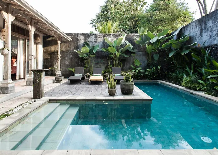 Peaceful Jungle Pool In Sayan *