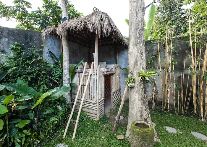 Peaceful Jungle Pool In Sayan *
